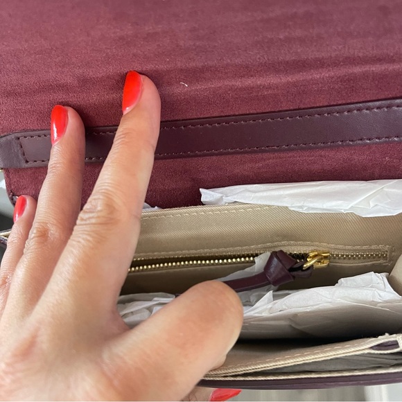 FRAME Le Signature Leather Mini Bag in Oxblood Maroon - Picture 8 of 11